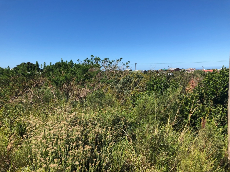 0 Bedroom Property for Sale in Bettys Bay Western Cape